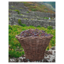 Grape harvest flyer design