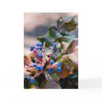 Grape Holly cards by Sherlockdonatello Grape Holly cards