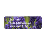 Grape Hyacinth Bulbs Mailing Label