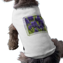 Grape Hyacinth Bulbs Pet Shirt