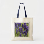 Grape Hyacinth Bulbs Small Bag