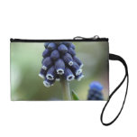 Grape Hyacinth Flower Coin Purse