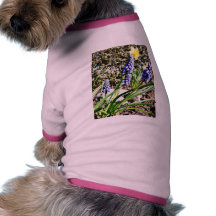 Grape Hyacinth Flowers Dog T Shirt