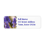 Grape Hyacinth  Mailing Label