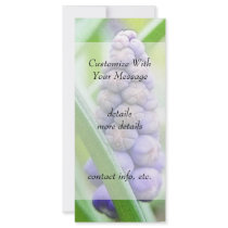 Grape Hyacinth - Muscari armeniacum Rack Card Template
