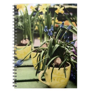 grape hyacinth spring flower arrangement notebook