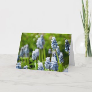 Grape Hyacinths Greeting Card | Grusskarte card