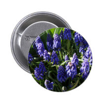 Grape Hyacinths Pinback Button