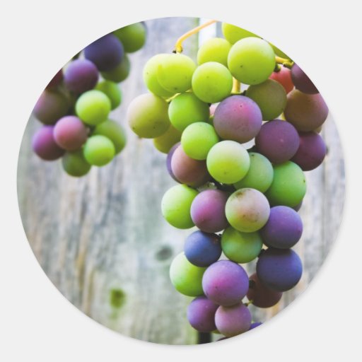grape jelly canning label sticker