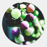 Grape Jelly Canning Label Stickers