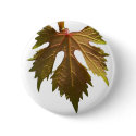 Grape leaf buttons by Ilpirata Grape leaf buttons