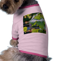 Grape Leaf Leaves Green pet clothing by lifesphere Grape Leaf Leaves Green pet clothing