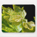 Grape Leaves mousepads by mlane53 Grape Leaves mousepads