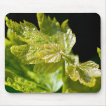 Grape Leaves mousepads
