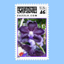 Grape Orchid postage