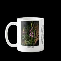 Grape Soda Lupine Coffee Mug