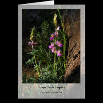 Grape Soda Lupine - Native Notecard cards