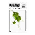 Grape vine and leaves postage