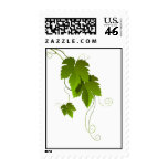 Grape vine and leaves postage