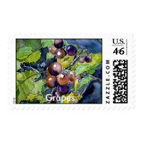 grape vine, Grapes postage postal stamp stamps