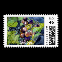 grape vine, Grapes postage postal stamp stamps