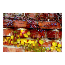grape vine on bricks as painting posters by dma847 grape vine on bricks as painting posters
