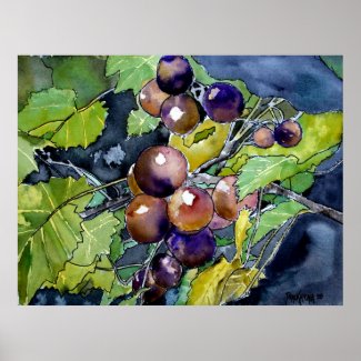 grape vine still life fruit art painting poster