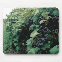 Grape Vineyard mousepads by ALL_IN_Designs Grape Vineyard mousepads