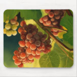 grape wine