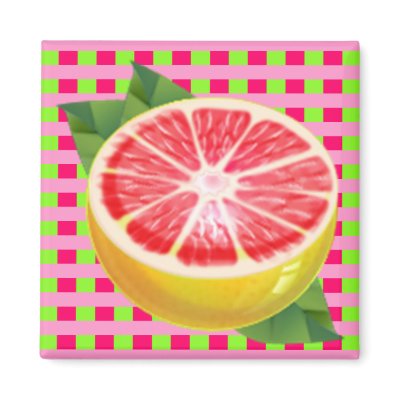Grapefruit Plaid Refrigerator Magnet by JuJuGarden