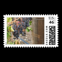 Grapes after vintage stamps