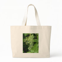 Grapes bags