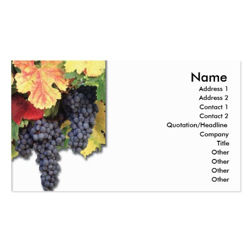 Grapes Business Card