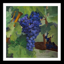 "Grapes" by Tom Norr posters