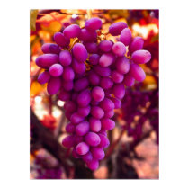 Grapes, Cesar Chavez Symbol posters by beverlytazangel Grapes, Cesar Chavez Symbol posters