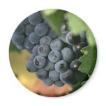 Grapes close up magnet
