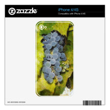Grapes Decals For The iPhone 4S