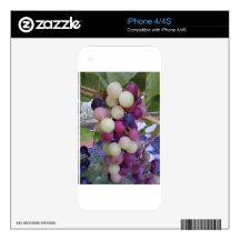 Grapes Decals For The iPhone 4S