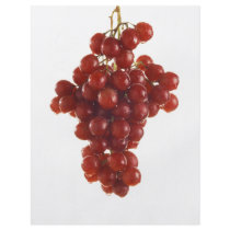 Grapes flyers