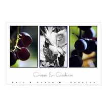 Grapes & Gladiolas posters by creativeworks Grapes & Gladiolas posters