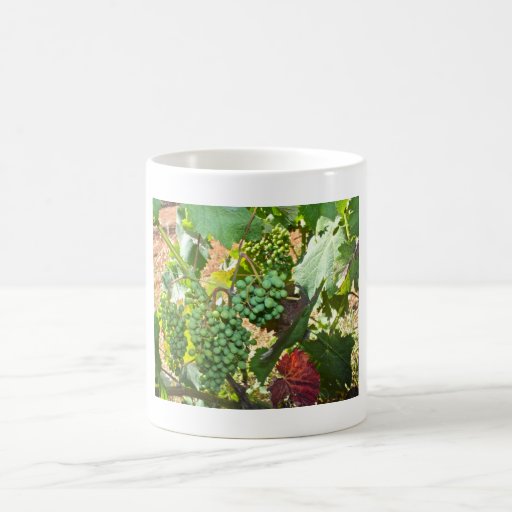 Grapes in a Vineyard Mug