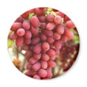 Grapes magnets