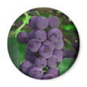 grapes magnets