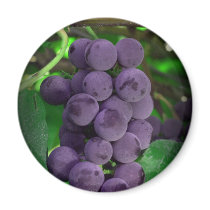 grapes magnets