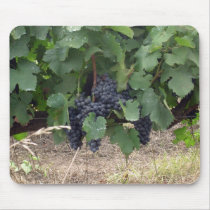 Grapes Mouse Pads