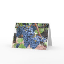 Grapes of Napa Valley cards by shilohspottydotty Grapes of Napa Valley cards