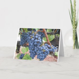 Grapes of Napa Valley card