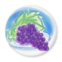 Grapes on a Plate magnets by dinijaz Grapes on a Plate magnets