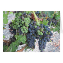 Grapes on the Vine, Aron Hill Vineyard Greeting Card
