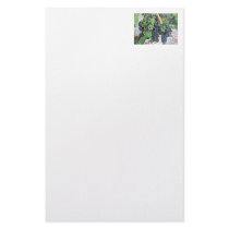 Grapes on the Vine, Aron Hill Vineyard Stationery Paper